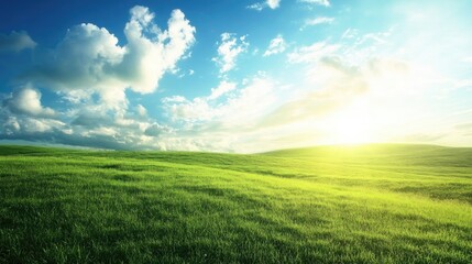 Fototapeta premium Vibrant summer landscape showcasing lush green fields under a bright blue sky with scattered white clouds and soft sunlight illuminating the scene.