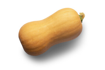 Whole yellow pumpkin isolated on white background
