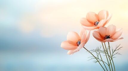 Obraz premium Delicate pink flowers in soft focus nature scene floral photography calm ambiance close-up view
