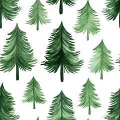 Obraz premium A watercolor painting of a forest of trees with a white background