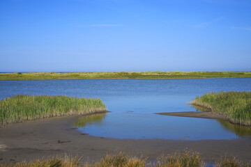 Dunes and dike in Westermarkelsdorf, Fehmarn Island, Baltic Sea, Germany