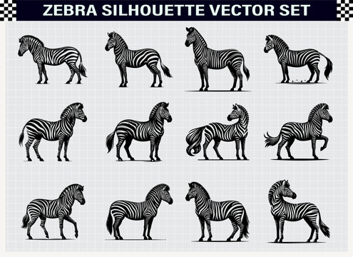 Zebra Silhouette Vector Illustration