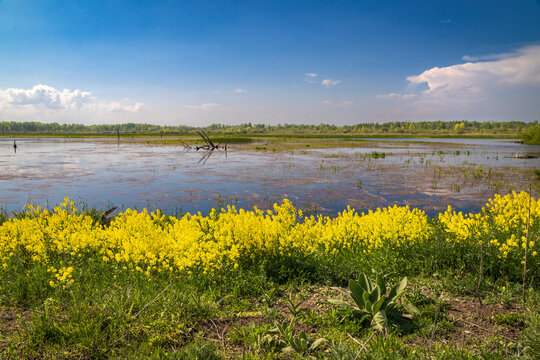 Tuttle Marsh Wildlife Area (2024)