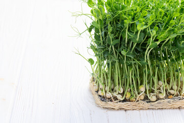 Organic microgreen pea photography . Healthy food . Top view