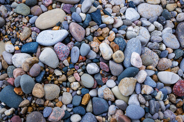 Sturgeon Point Beach Rocks #1