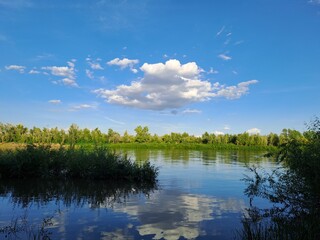 the lake and the lake
