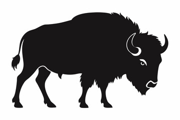 Bison buffalo vector silhouette, bison icon © Trendy CraftSVG 