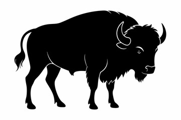 Bison buffalo vector silhouette, bison icon
