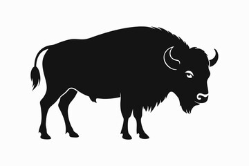 Bison buffalo vector silhouette, bison icon