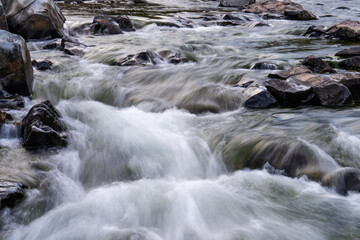 flowing water at the stream in the autumn valley