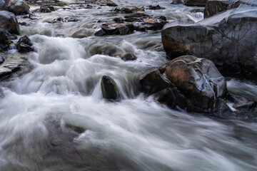 flowing water at the stream in the autumn valley