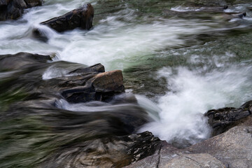 flowing water at the stream in the autumn valley