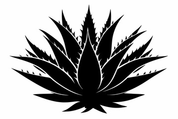 Aloe Vera Vector Silhouette, Agave plant vector, agave symbol