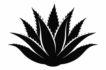 Aloe Vera Vector Silhouette, Agave plant vector, agave symbol