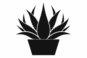 Aloe Vera Vector Silhouette, Agave plant vector, agave symbol