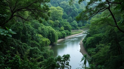 dense foliage envelops a serene river bend, vibrant blooms, forest floor