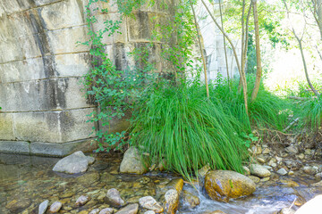 A serene stream flows beneath the Puente del Perdón, surrounded by lush greenery in Sierra de...