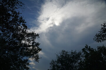 Fototapeta premium Dramatic cloud formation overhead nature scene landscape photography outdoor environment low angle view atmospheric beauty