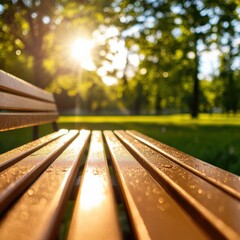 close-up of a wet park bench with sunlight filtering through trees