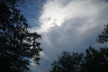 Fototapeta premium Cloudy sky above lush greenery nature photography outdoor scene tranquil environment wide angle view atmospheric beauty
