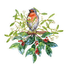 Hand drawn Winter greenery and bird with red chest watercolor