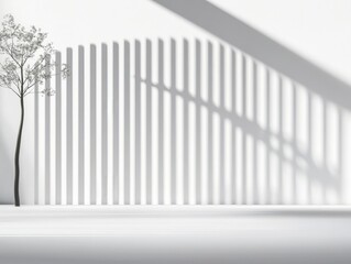 Obraz premium minimalist interior design with shadows and a tree