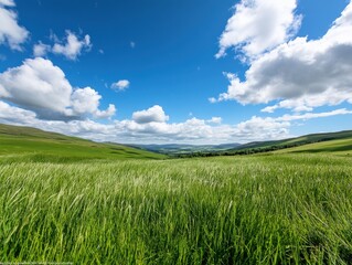 Obraz premium lush green landscape under a bright blue sky with fluffy clouds