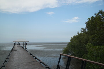 Fototapeta premium Exploring tranquil mangrove forests coastal boardwalk nature photography serene environment panoramic view eco-tourism insights