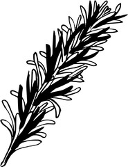 Naklejka premium branch. Hand drawn vector sketch illustration