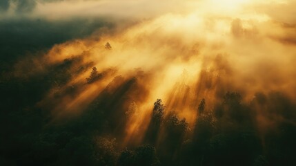 Fototapeta premium Majestic sunrise over a tropical rainforest with mist and golden fog rays cascading through the trees, creating a serene and enchanting landscape.