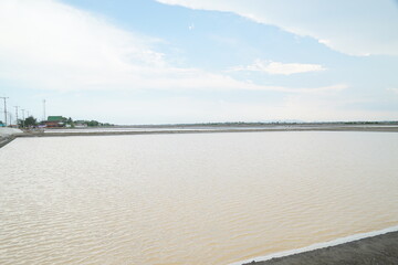 Obraz premium Salt harvesting process coastal region aerial view serene landscape agriculture environmental sustainability