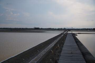 Fototapeta premium Exploring salt farming techniques coastal region photography natural environment landscape view sustainable practices