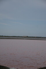 Salt harvesting process coastal region nature scene tranquil environment wide angle view sustainable practices