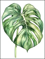 Watercolor Monstera 2024s