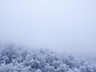 Fototapeta premium Snow-covered landscape with dense fog and heavy snowfall, snowy scenery, cold climate