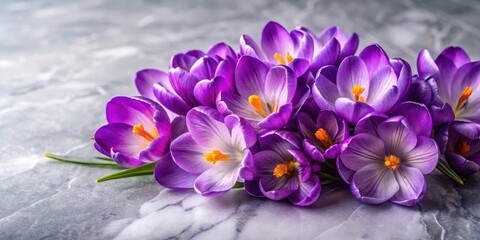 Obraz premium A cluster of purple crocuses with yellow centers, their petals delicate and soft, are arranged in a charming bouquet on a smooth, gray background.