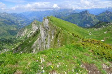 Naklejka premium Rocher de Naye, the ridges in the Swiss alps near Montreux. Panorama landscape of mountains in springtime in Switzerland.