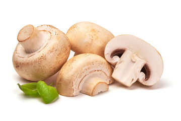 Champignons, close-up, isolated on white background.
