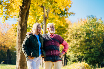 Fototapeta premium Older couple, man and woman, stroll through park surrounded by vibrant autumn colors with trees with golden leaves form beautiful backdrop for peaceful, leisurely walk.