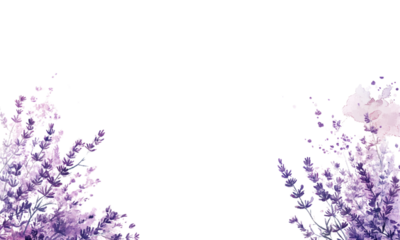 flowers border, copy space 