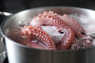 Fresh octopus boiling in pan on stove, closeup
