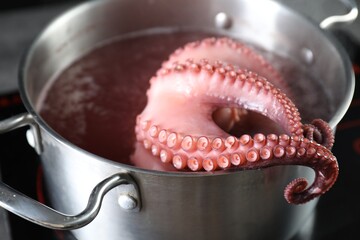 Fresh octopus boiling in pan on stove, closeup