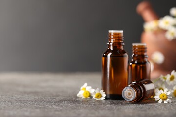 Bottles of essential oil and chamomile flowers on grey table. Space for text