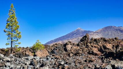 Blick von den cañadas del teide auf den Teide in Teneriffa