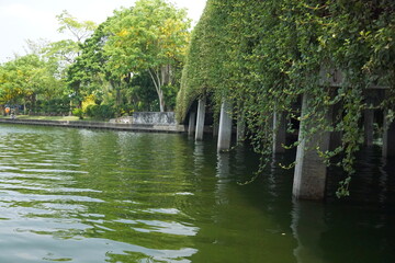 Exploring tranquil waters under a lush canopy urban park nature photography serene environment landscape view peaceful concepts