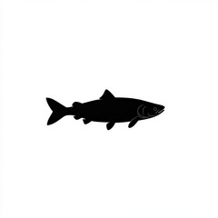 Obraz premium Salmon Silhouette, Black And White Illustration Isolated On White Background