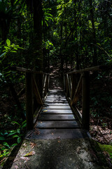 Obraz premium parque nacional la tigra