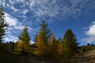 Lac noir du Chenaillet (Cervières)