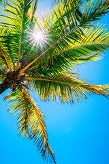 Fototapeta premium utila