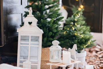 Cozy winter decoration with lanterns and miniature Christmas trees indoors